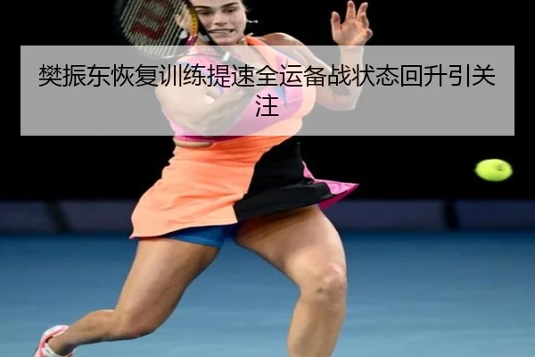樊振东恢复训练提速全运备战状态回升引关注